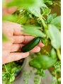整体院 一歩(ippo)&nbsp;コロナ禍は畑で野菜を、今はプランターで果実を育てています。