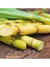 【自然の恵みで内側から美しく】さとうきび蒸し45分￥4300