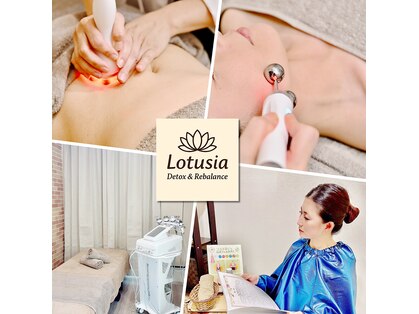 ルトゥーシア(Lotusia)の写真
