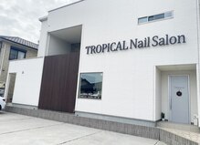 トロピカル(TROPICAL)