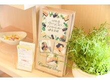 ケアリストステージ/パンフレット