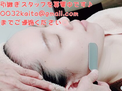 ココア(Cocoa)の写真