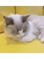 アイニコ 梅田店(eyenico) ねこが好きです♪