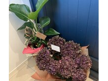 ロッジ スパ(Loge-SPA-)の雰囲気（観葉植物がたくさんあって癒しの空間です(^O^)／）