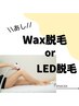 【女性限定】ツルツルお肌に♪脚全体脱毛　10,000円( Wax脱毛 or LED脱毛 )