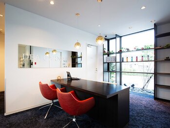 デアカルナ(DEA CARNA)/受付