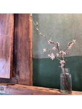 キキ(kiki.)/桜も咲き始めてます