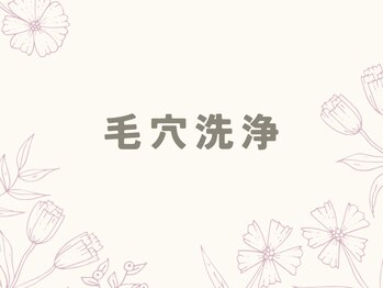 レヴィア(Revia)/毛穴洗浄