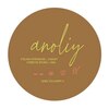 アノリー 中村橋駅店(anoliy)のお店ロゴ