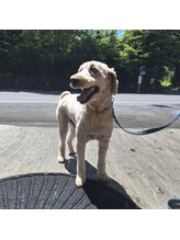 ピュアレスト(PUREST)/ワンちゃん同伴OK♪