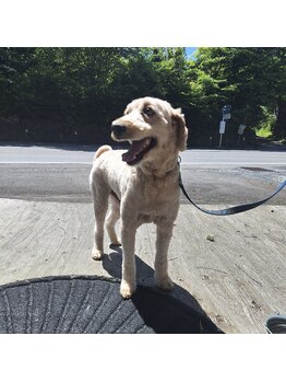 ピュアレスト(PUREST)/ワンちゃん同伴OK♪