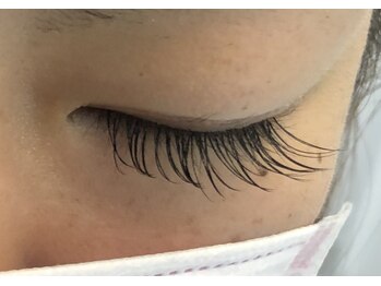 ジョリー(Jolie)/