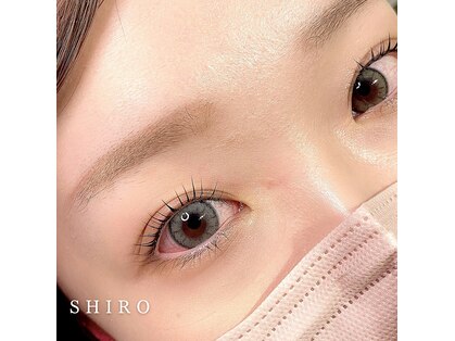 シロ(SHIRO)の写真