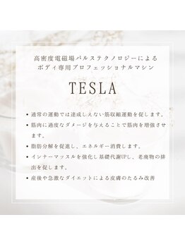 ベベクロスディディア 野々市市役所前店(Bebe×DiDiA)/TESLA