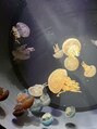 ののじ 大通店&nbsp;クラゲを見るのが好きで、そのために水族館いく事もあります！
