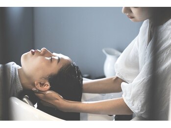 テラヌーベ(terra nube)