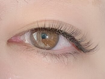 エクリュ アイラッシュ(ecru eyelash)/LEDエクステ/セクシースタイル