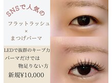 ティンクアイ(Tink eye)