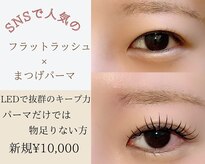 ティンクアイ(Tink eye)