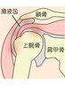 【痛みで肩があがらない方はコレ！】五十肩専門プログラム