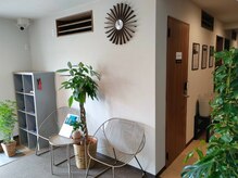 アウリンコ(Aurinko)/明るくグリーンの多い店内です