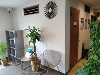 アウリンコ(Aurinko)/明るくグリーンの多い店内です