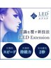 話題のLEDフラットラッシュ☆100本 ¥6400→¥5900