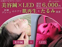 やなけん 亀戸店