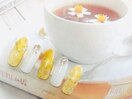 5月【定額】オフィスコース