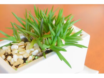 ケアリストステージ/店内雰囲気