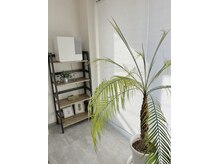 カナロア(Kanaloa)