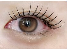 フラットラッシュ120本