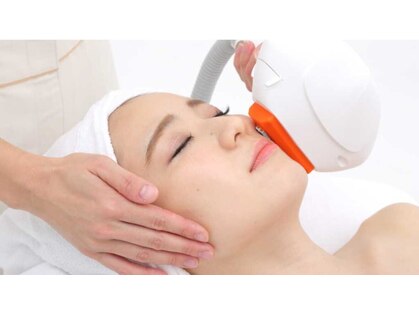 ホワイトスノー(W/S)の写真