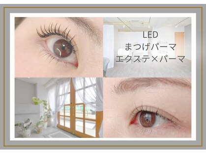 ニコ(nico)の写真