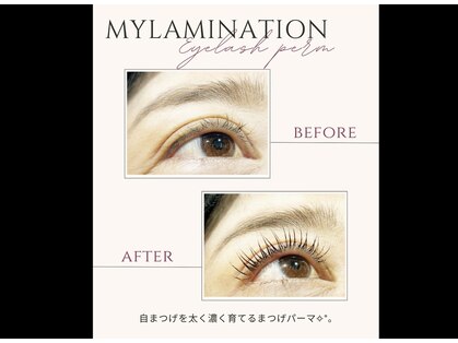 オッターヴァ 学芸大学(8va.)の写真