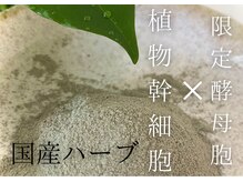 チッチ(Chicchi)の雰囲気（剥離しないハーブピーリング）