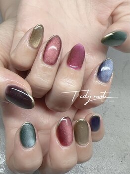 ティディーネスト(Tidynest)/マグネットネイル
