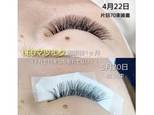 ママジェンヌ(mamA sIenne)/LEDマツエク