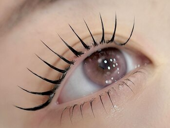 セレブヒルズ 三宮店(Celeb Hill's)の写真/人気NO1！パリエク【上まつげパーマ×束感エクステ80本¥8600】