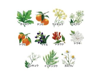 ヨサパーク インディゴ 都立大学(YOSA PARK Indigo)/こだわりの漢方ハーブ