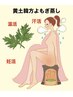 ☆当店人気コース☆黄土よもぎ蒸し＋米ぬか酵素浴¥13000→¥11000