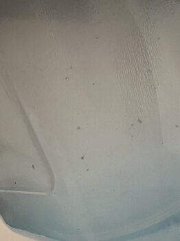 ケーエピ 長居(K-epi)/毛穴洗浄 2