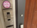 <アンパラレルド>概観