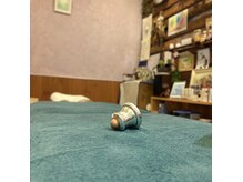 ノリの部屋