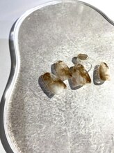 ナンバーエイト(No.8)/10月アート