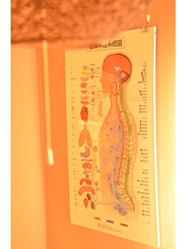 カイロプラクティック由 柏崎店/内観