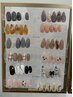 【全員】定額コース☆ ¥7800(自店オフ込)