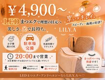 リリア(LILY.A)