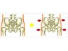 【美しくデニムを履きたい】骨盤と股関節のでっぱりを狭くする初回￥3000引き
