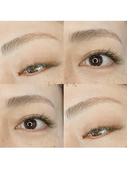 アイラ MEGAドンキUNY掛川店(EYELA)/アイブロウ　アーチ型